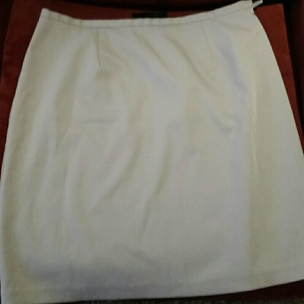 Express Mini Skirt